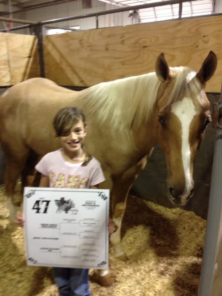 Royal Millionaire “Million”, 2026 Horse of the Year finalist