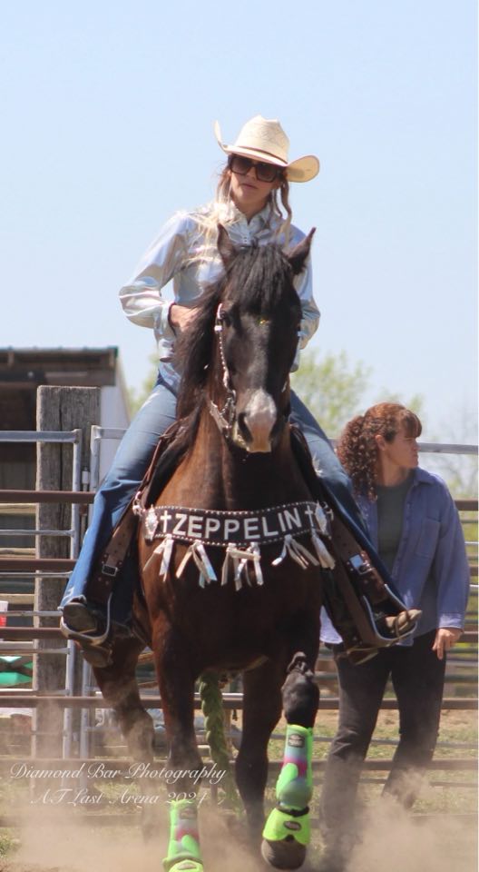 Zeppelin Doc Holiday “Zeppelin”, 2026 Horse of the Year finalist