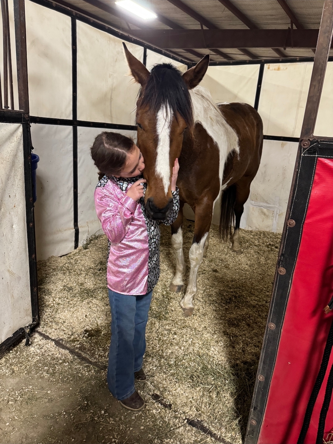 Poker Chip, 2026 Horse of the Year finalist